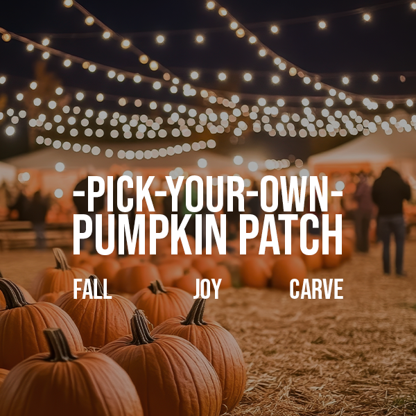 jaCKO_Pumpkinpatch__V3