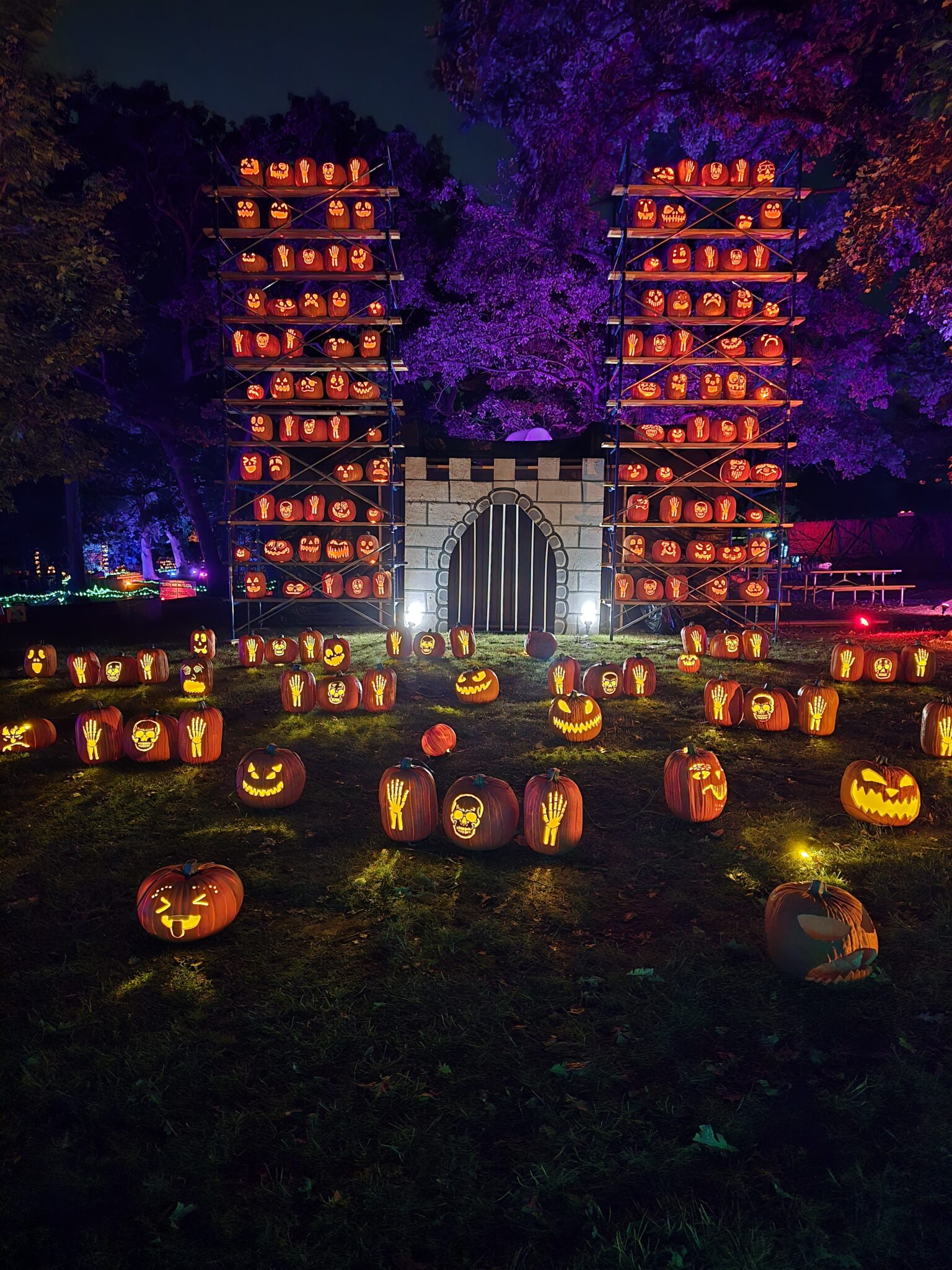 jack-o-lantern-world-lemont-2025-jack-o-lantern
