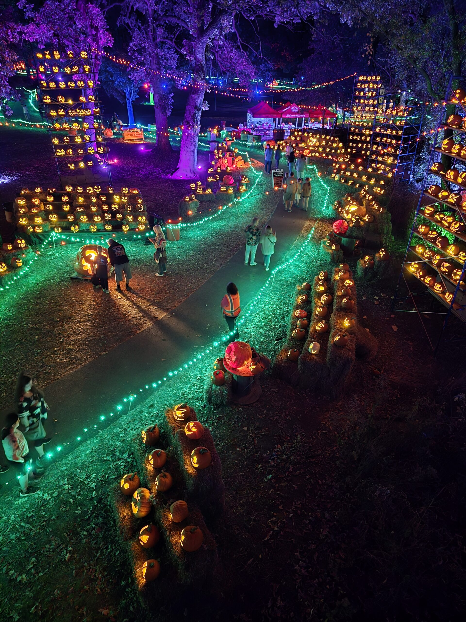 jack-o-lantern-world-lemont-2025-jack-o-lantern